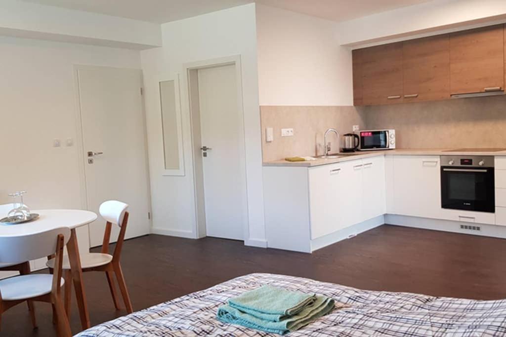 Suite With Back Garden Karlsbad Eksteriør billede